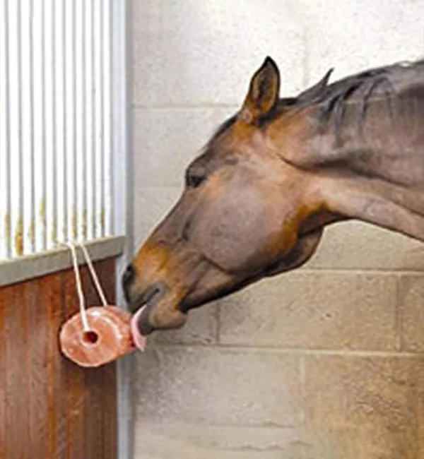 (Weight 1-2 Kg) Rs. 120