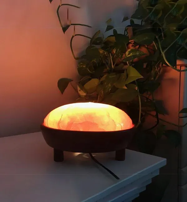 (Weight 5-6 Kg) Rs. 2400