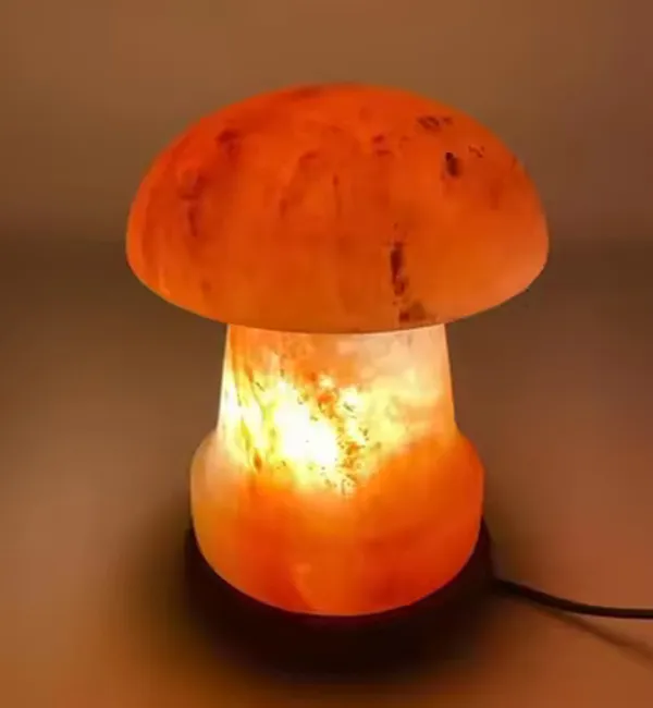 (Weight 3-4 Kg) Rs. 1200