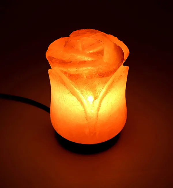 (Weight 3-4 Kg) Rs. 1200