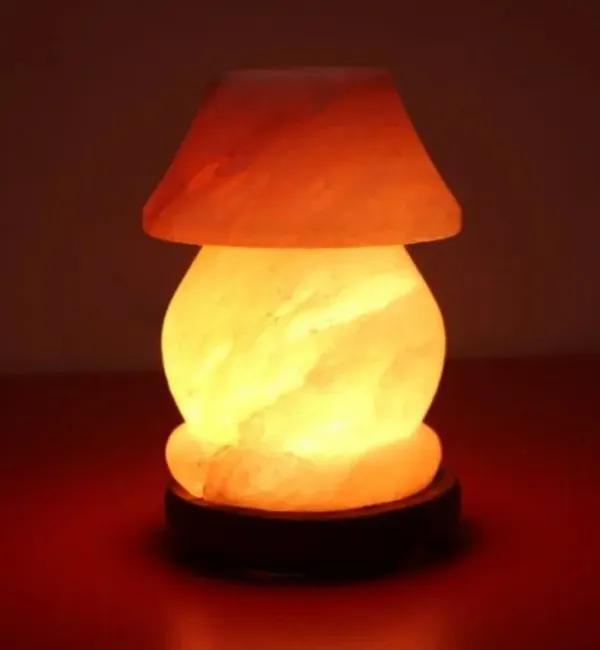 (Weight 2-3 Kg) Rs. 1200