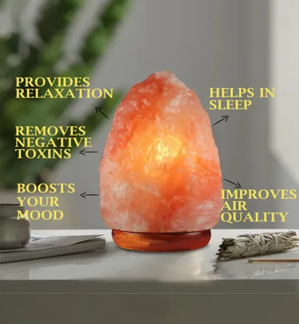 (Weight 2-3 Kg) Rs. 950