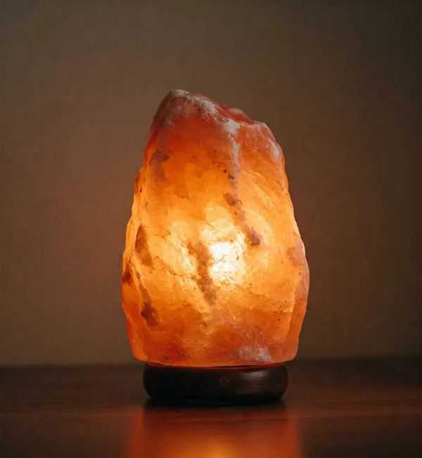 (Weight 5-7 Kg) Rs. 1400