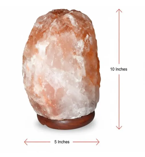 (Weight 5-7 Kg) Rs. 1400