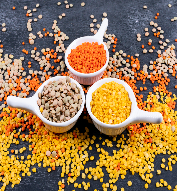 Different lentils in a mini white spice bowls on a black stone background. side view.